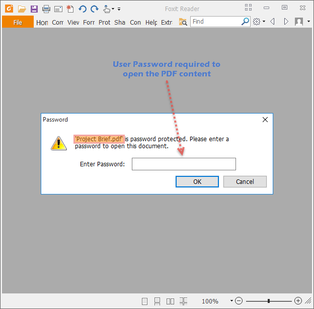 Password protected PDF document prompts for password when opening it PDF reader